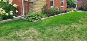Quinn's Contracting Landscaping Services